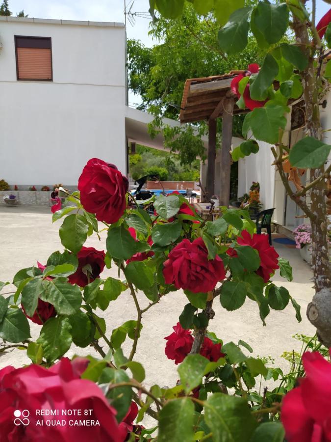 B&B Troisi ラカルムート エクステリア 写真